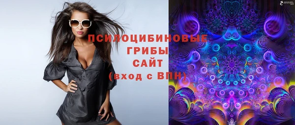 молекула духа Алексеевка
